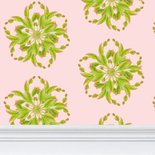 Budding Rose Wallpaper